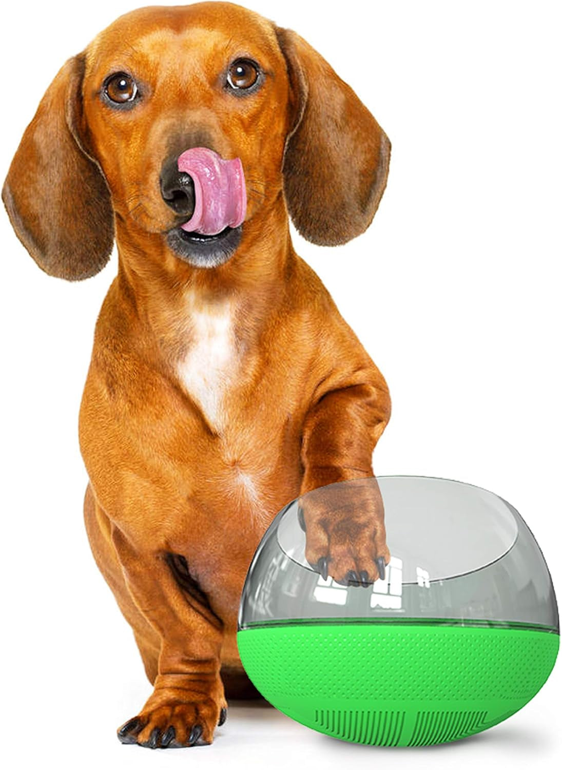 Slow Feeder Bowl for Small Medium Dogs and Cats, No-Spill Large Capacity Interactive Feeder, Green (APF03G)