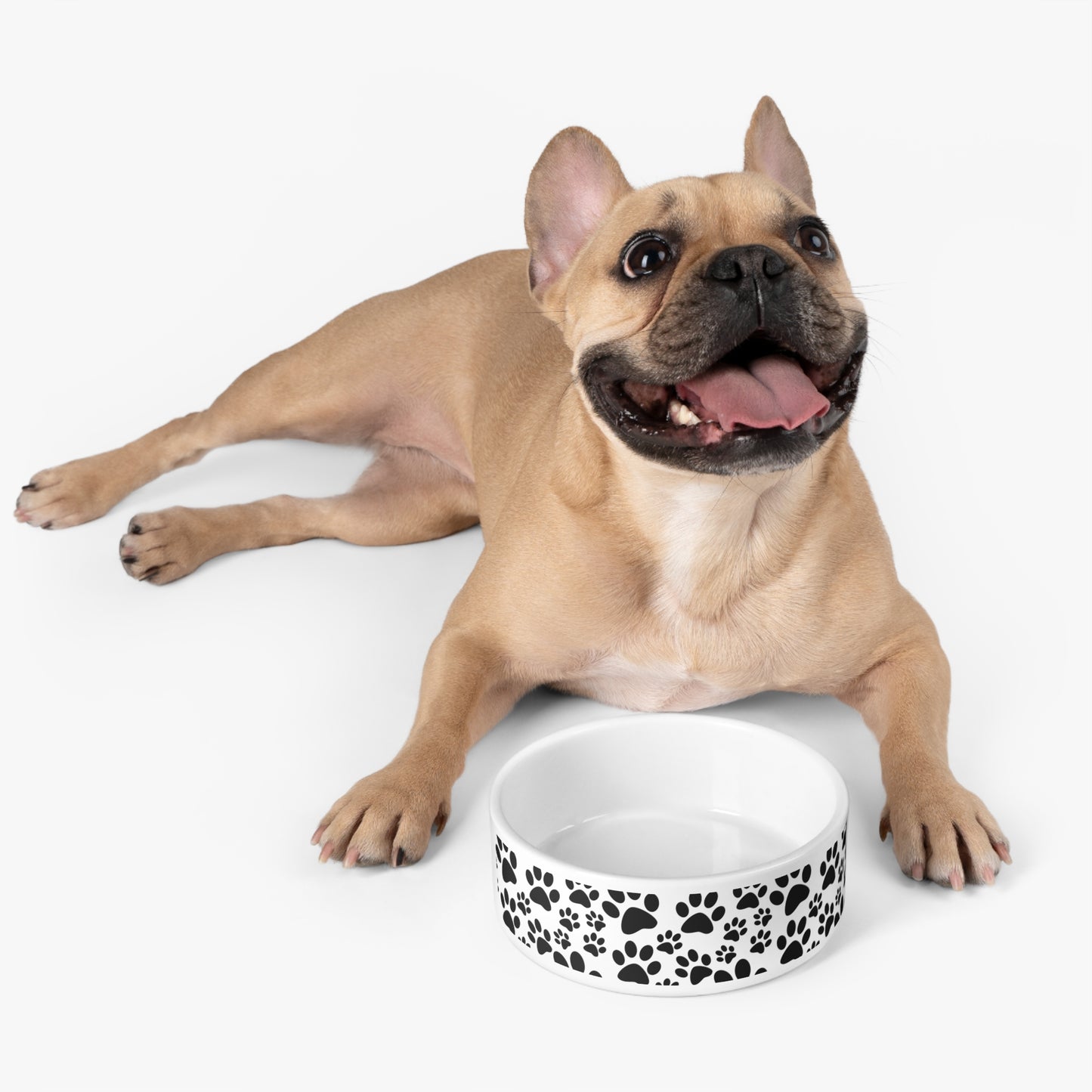 Custom Ceramic Pet Bowls